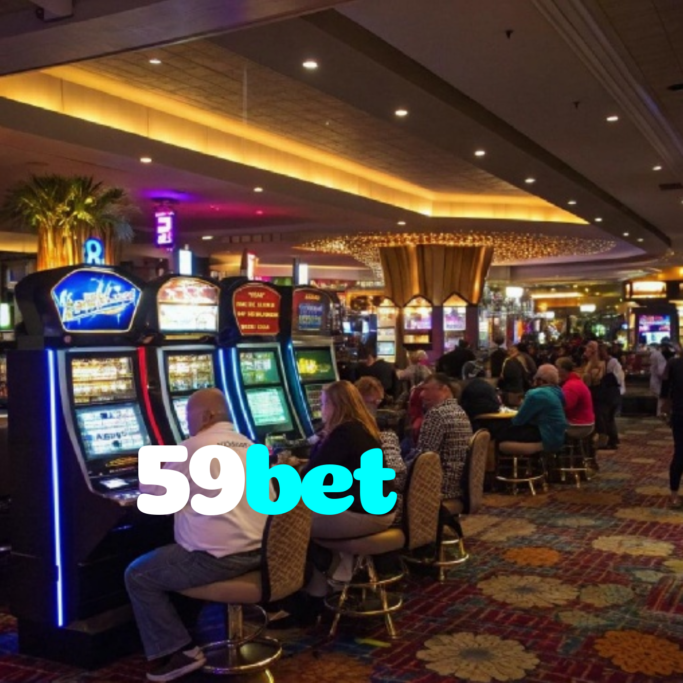 59bet